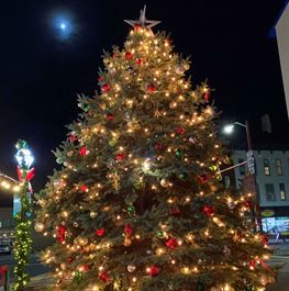 Hanover Christmas Tree